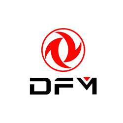 DFM